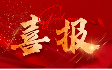 喜報|宜賓市“兩紅兩優(yōu)”表揚(yáng)，遠(yuǎn)東電纜（宜賓）團(tuán)支部上榜！